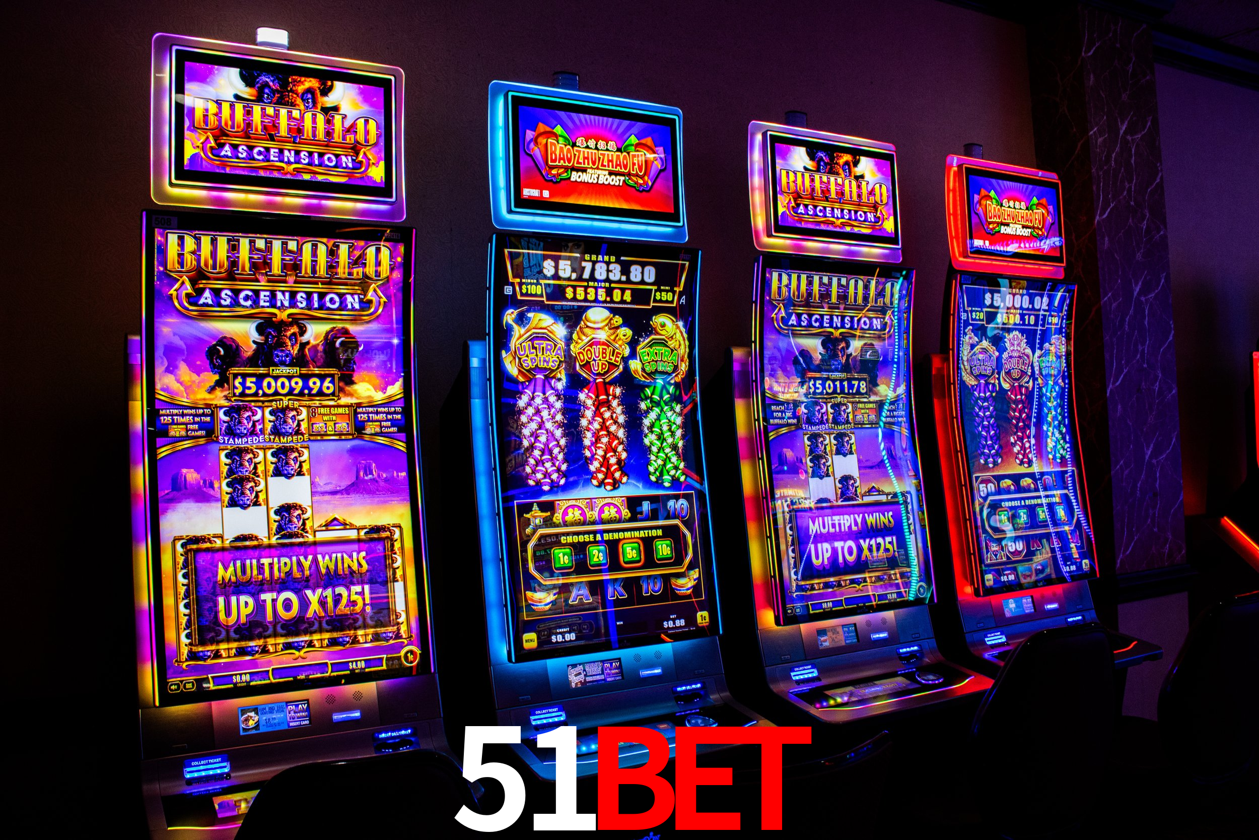 Sports Statistics 51bet